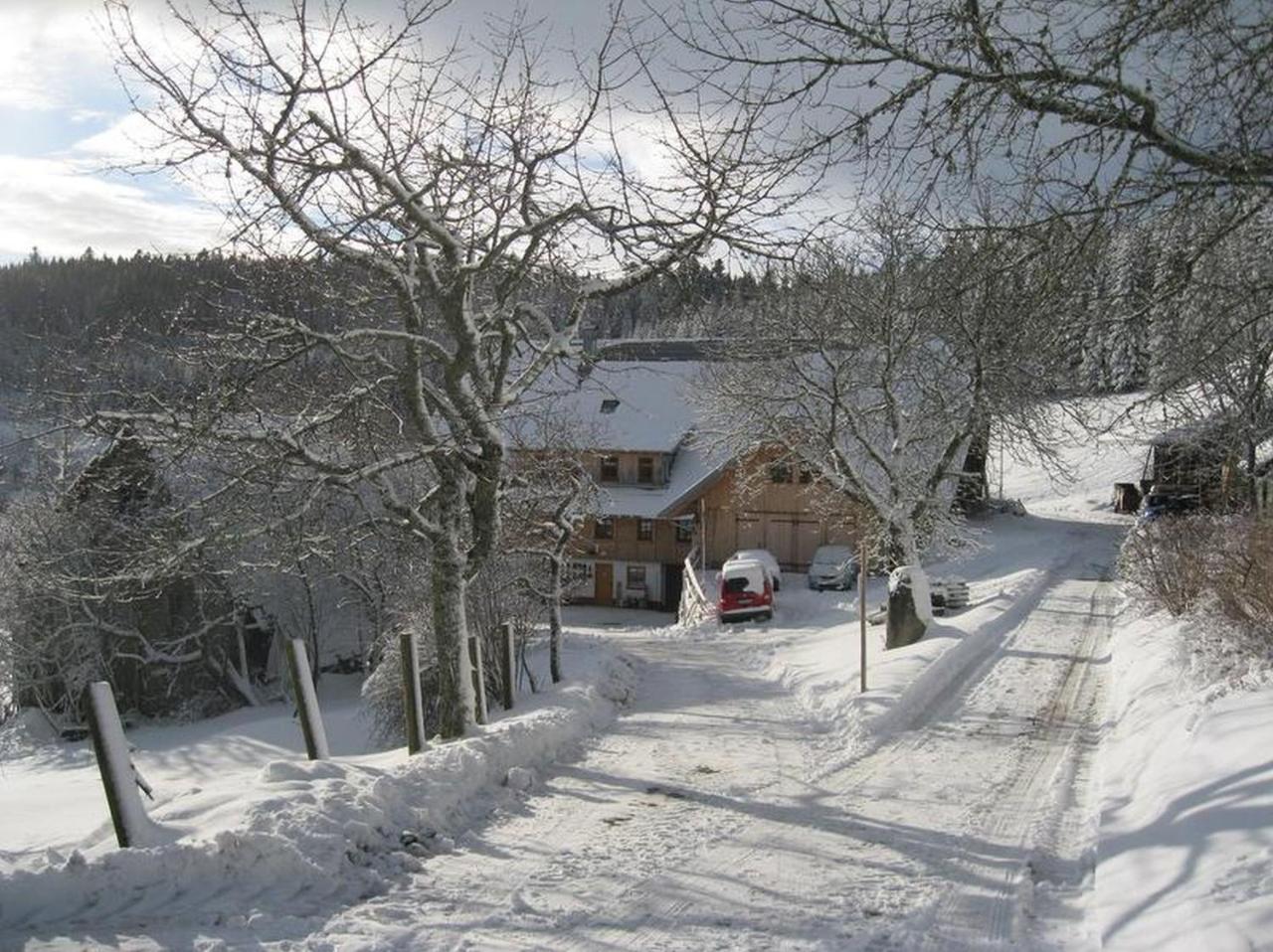 Apartamento Sigmundenhof Schonach im Schwarzwald Exterior foto