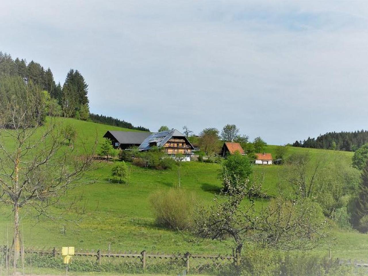 Apartamento Sigmundenhof Schonach im Schwarzwald Exterior foto