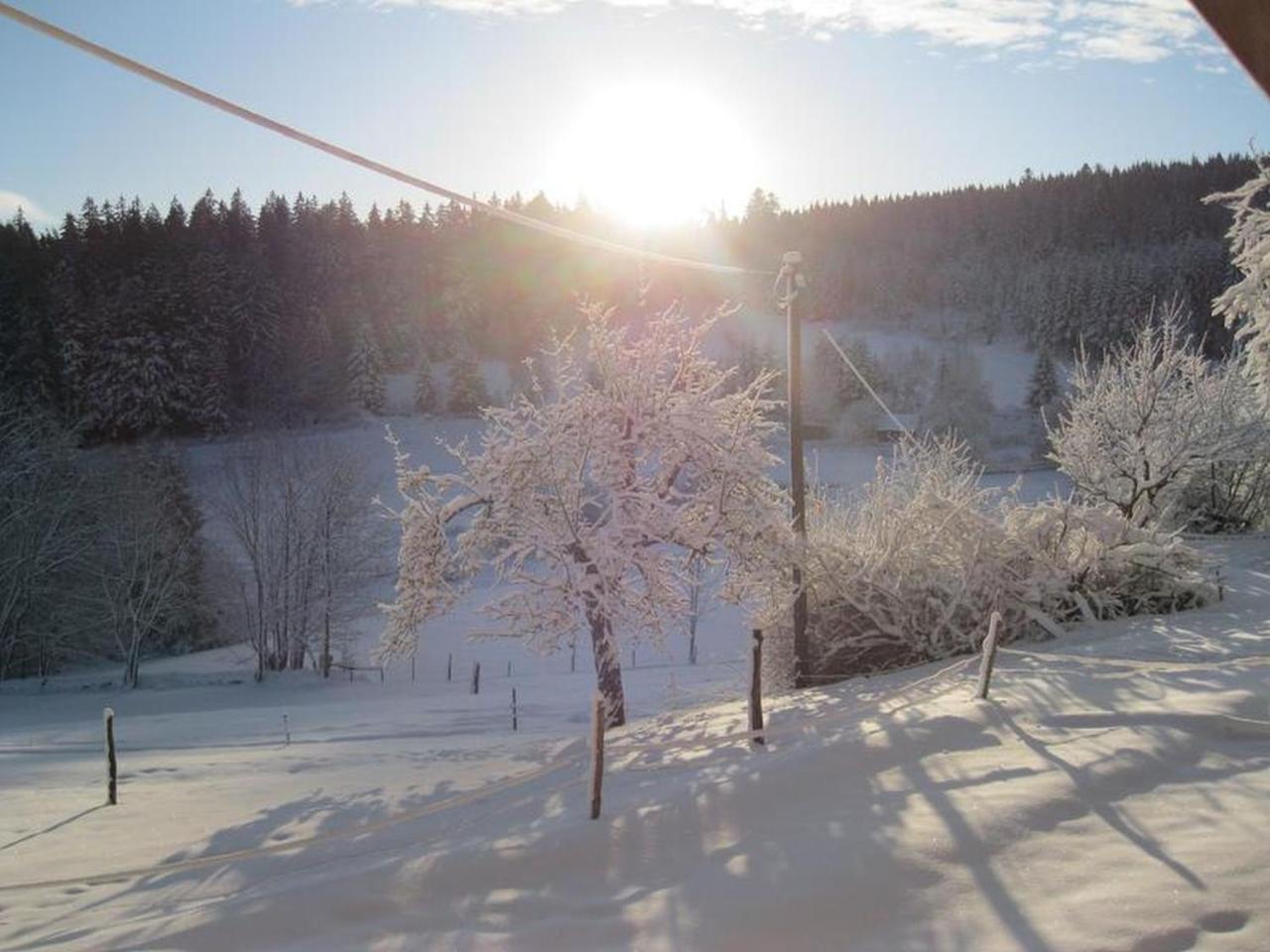 Apartamento Sigmundenhof Schonach im Schwarzwald Exterior foto